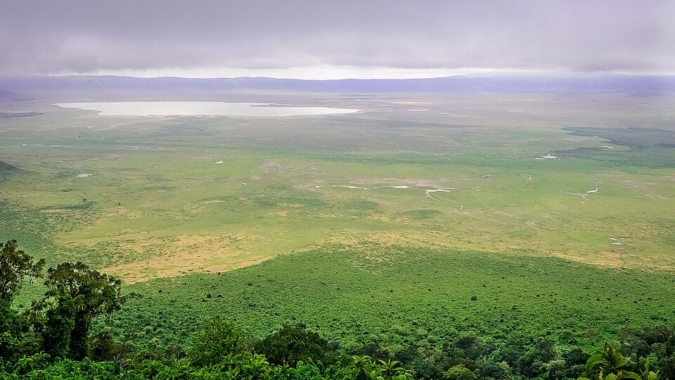 Ngorongoro